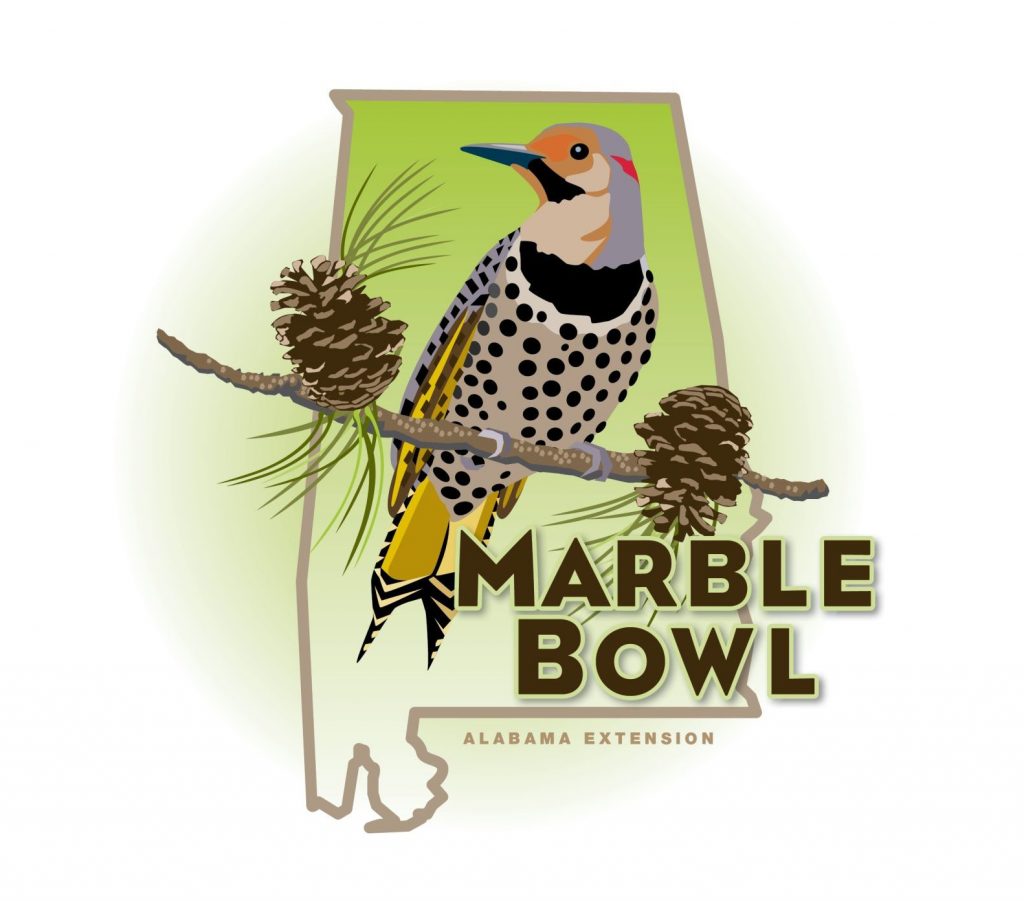Marble Bowl Logo